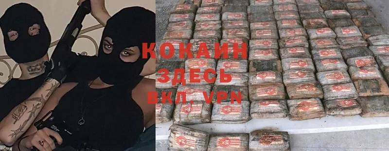 как найти наркотики  Рыбное  Cocaine Эквадор 